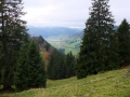 Wanderung-Chli-Aubrig-ab-Euthal-Schwyz-5