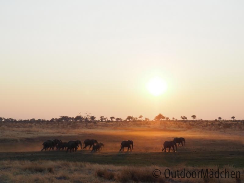 Elefanten-Sonnenuntergang-Namibia