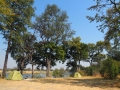 Camping-Okavango