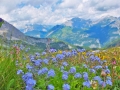 Wanderung-z-Leoganger-Steinberge (9)