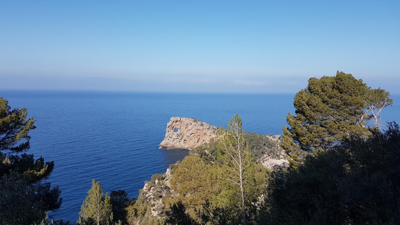 einfache-Wanderung-Sa-Foradada-Mallorca-12