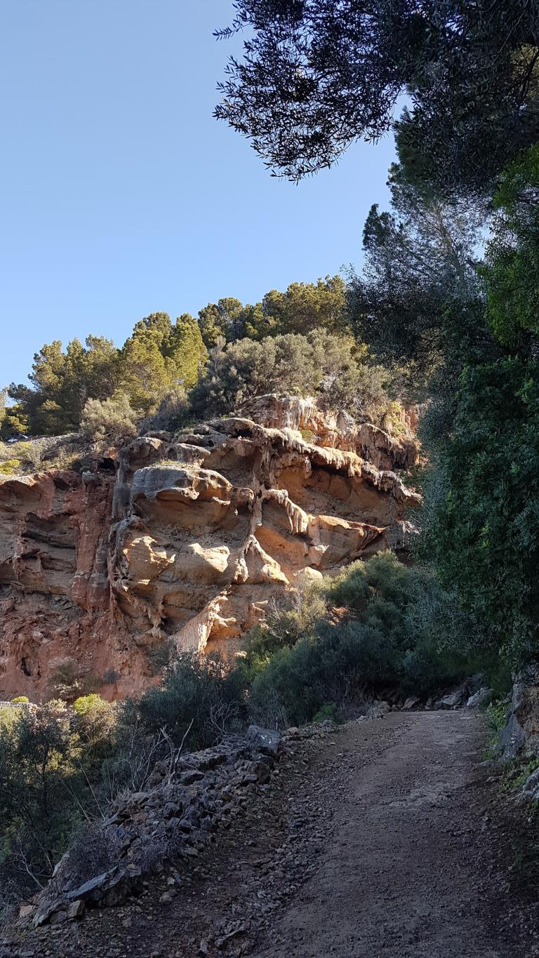 einfache-Wanderung-Sa-Foradada-Mallorca-13