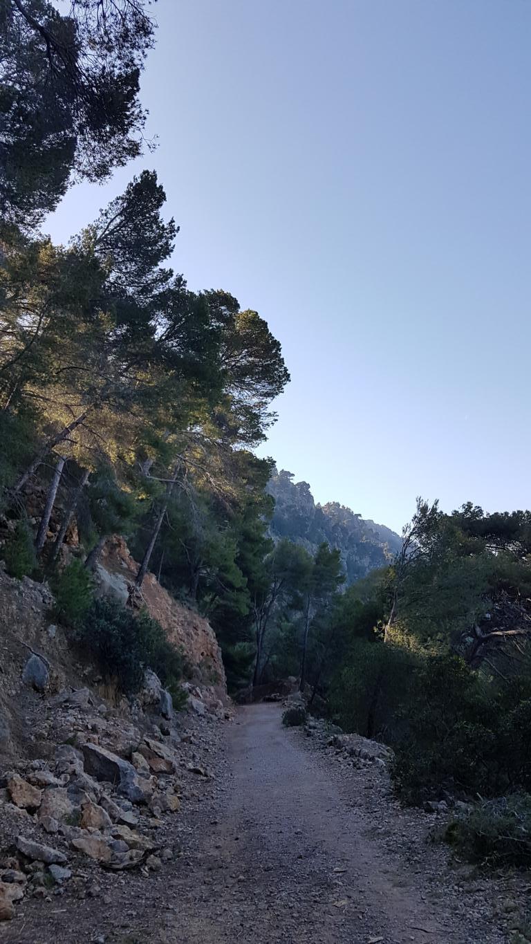 einfache-Wanderung-Sa-Foradada-Mallorca-4