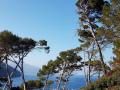 einfache-Wanderung-Sa-Foradada-Mallorca-5