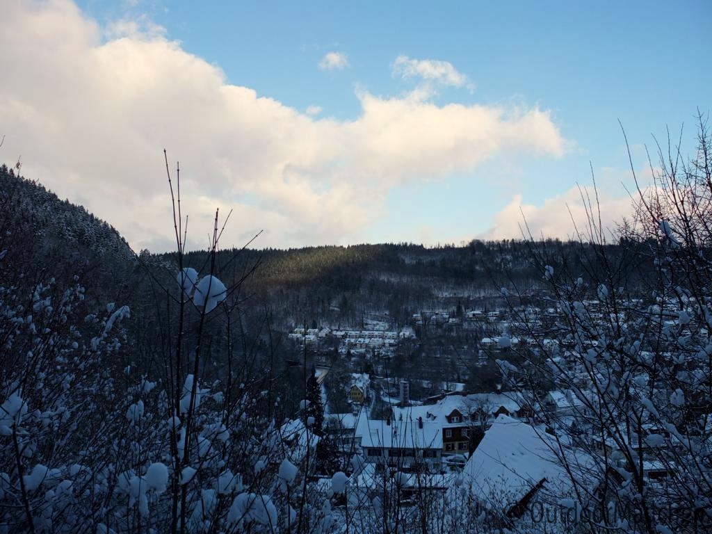 Wanderung-Schwarzwald-Schweinbachtal (22)