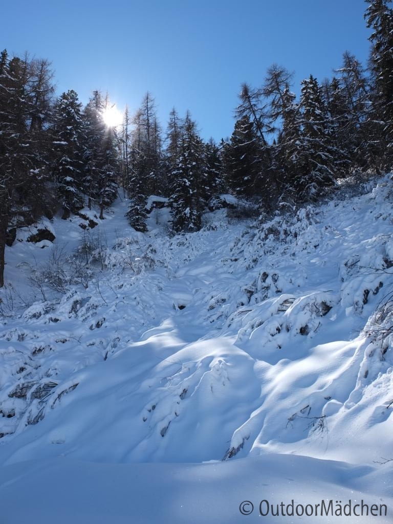Schneeschuhtour-schweiz-wallis (16)