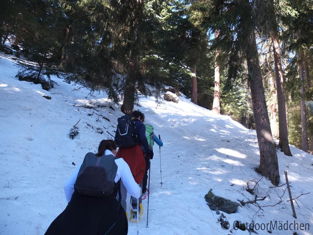 Schneeschuhtour-schweiz-wallis (5)
