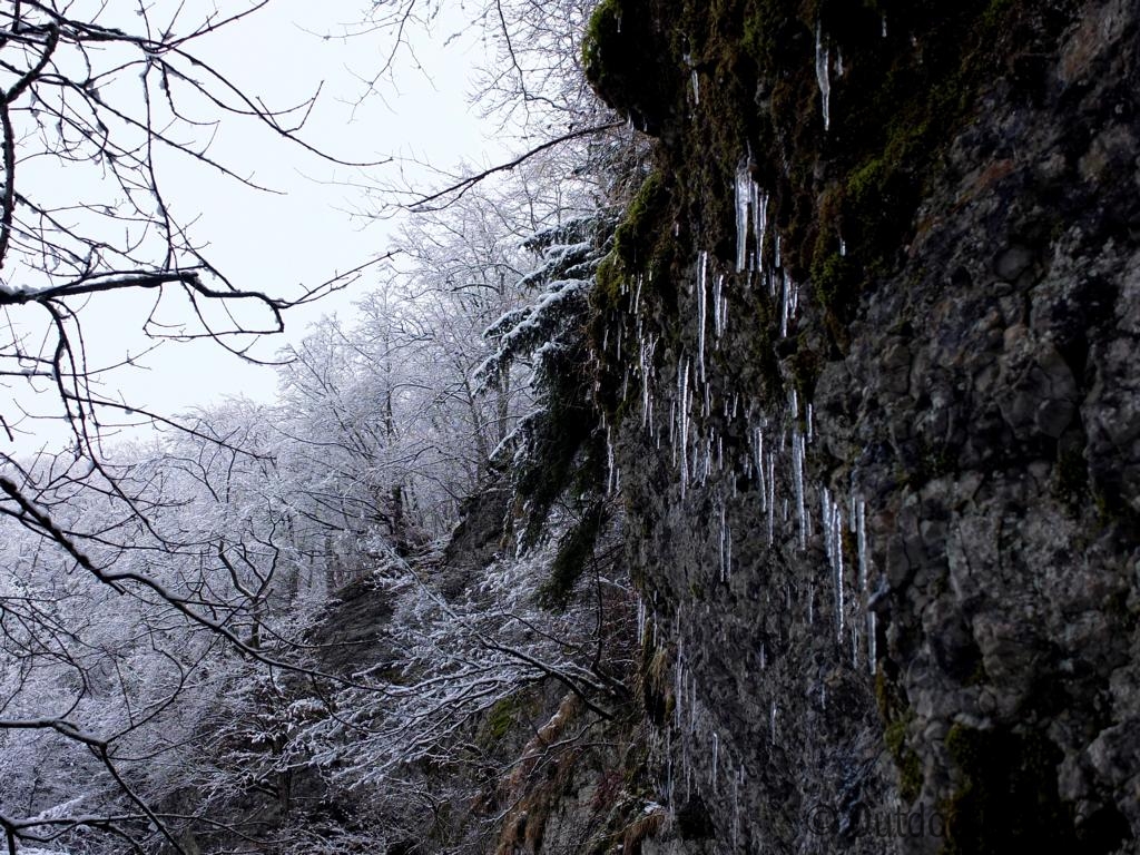 Hossinger-Leiter-Premiumwanderweg-Winter (12)