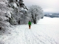 Hossinger-Leiter-Premiumwanderweg-Winter (10)