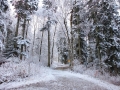 Hossinger-Leiter-Premiumwanderweg-Winter (3)