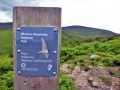 wicklow-way-irland-outdoormaedchen (14)