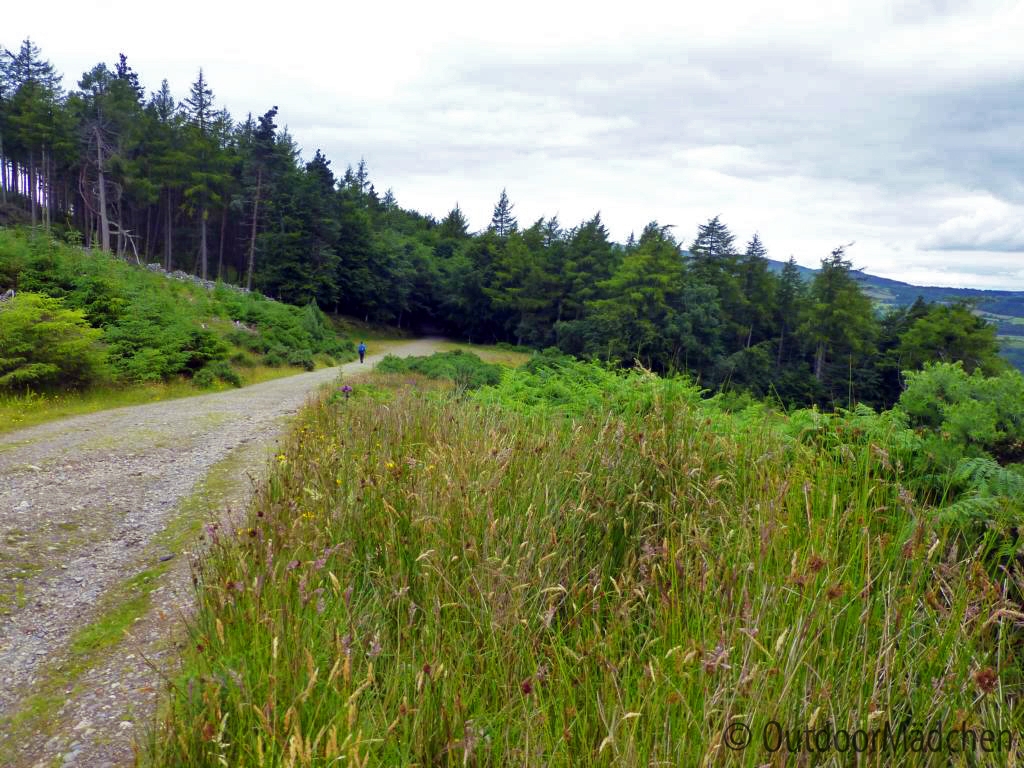 wicklow-way-irland-outdoormaedchen (10)