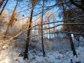 Winter-wanderung-Elfringhauser-Schweiz-Hattingen-17