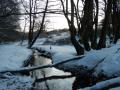 Winter-wanderung-Elfringhauser-Schweiz-Hattingen-25