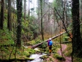 Xanderklinge-Schluchtenwanderung-Schwarzwald (3)