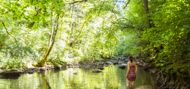 wanderungen-sommer-header